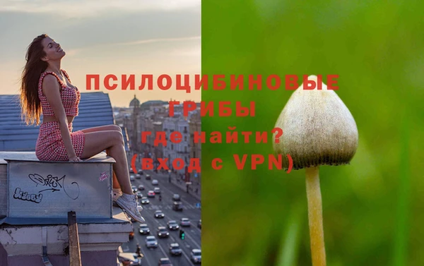 дмт Семилуки